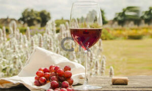 Những loại rượu vang đỏ ngon nhất
