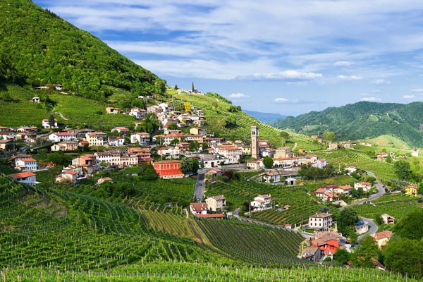 Các vườn nho tại Veneto