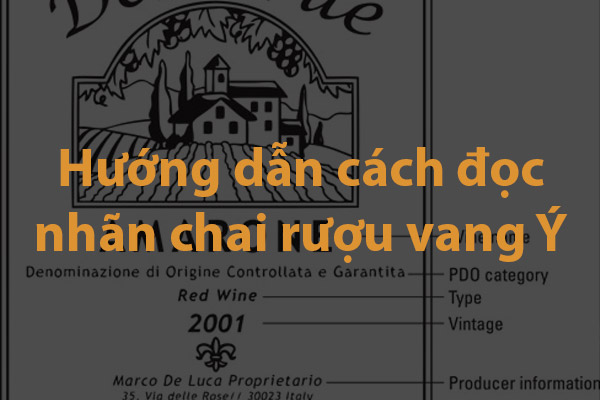 Hướng dẫn cách đọc nhãn chai rượu vang Ý