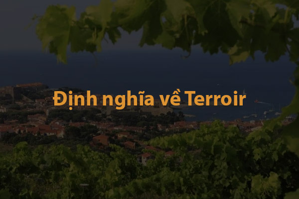 Định nghĩa về Terroir
