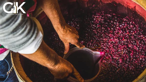 Ép vỏ nho để lấy phần rượu ép Vin de presse