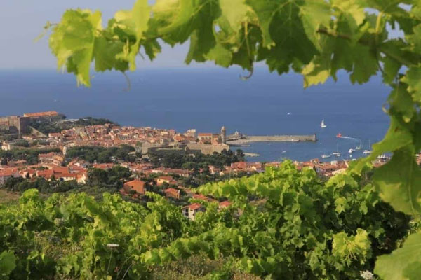 Khí hậu Địa Trung Hải điển hình của Languedoc-Rossillon