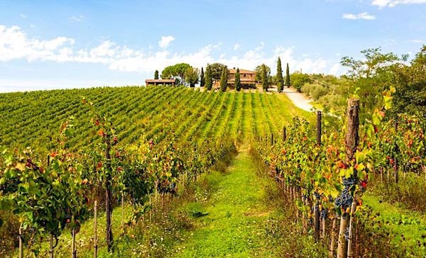 Một góc của vùng Tuscany, Italia