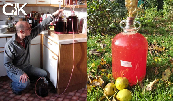 Ngâm ủ và lọc rượu vang bằng ống xi phông