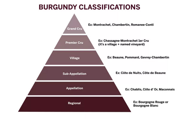 Tháp phân hạng rượu vang Burgundy