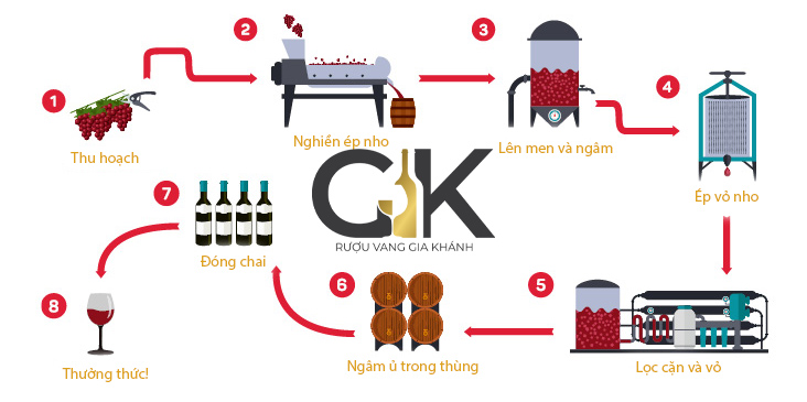 Quy trình sản xuất rượu vang tiêu chuẩn