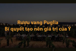 Rượu vang Puglia, bí quyết tạo nên giá trị của Ý