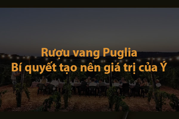 Rượu vang Puglia, bí quyết tạo nên giá trị của Ý