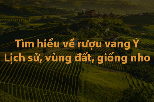Tìm hiểu về rượu vang Ý