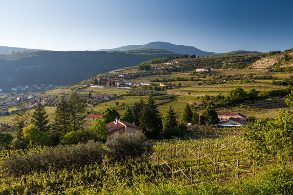 Valpolicella là nơi có nhiều loại rượu vang giá trị nhất Veneto