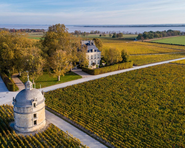 Chateau Latour sở hữu Terroir cực kỳ chất lượng
