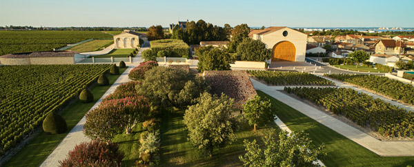 Chateau Mouton Rothschild - thành viên mới nhất của First Growth