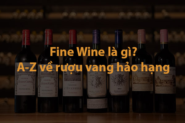 Fine Wine là gì? Mọi điều về rượu vang hảo hạng