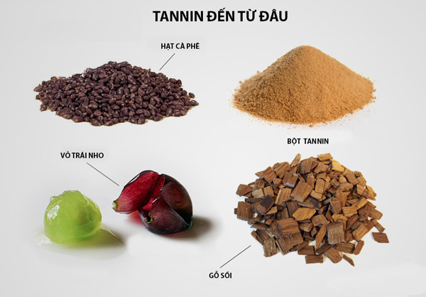 Nguồn gốc của tannin