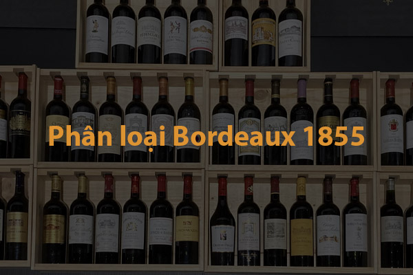 Phân loại Bordeaux 1855