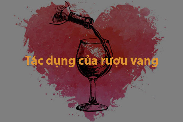 Tác dụng của rượu vang