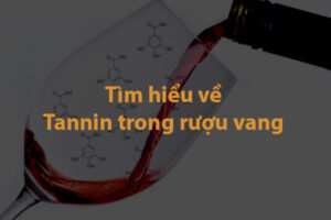 Tannin trong rượu vang