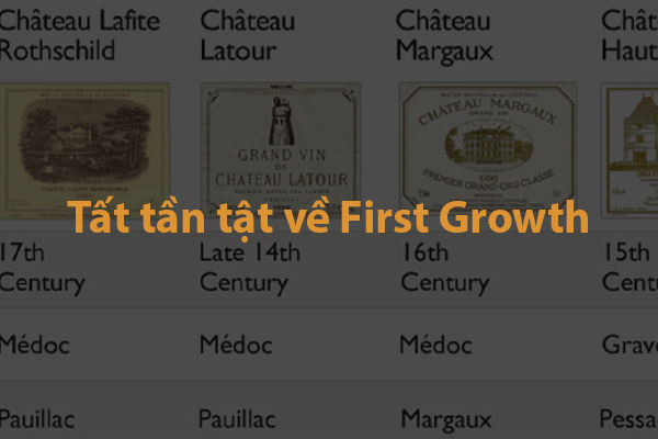 Tất tần tật về First Growth