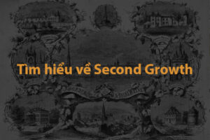 Tìm hiểu về các Chateau Second Growth Bordeaux