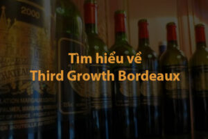 Tìm hiểu về Third Growth Bordeaux