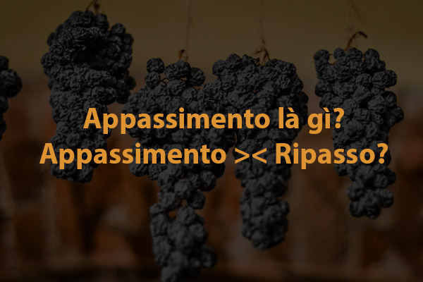 Appassimento nghĩa là gì