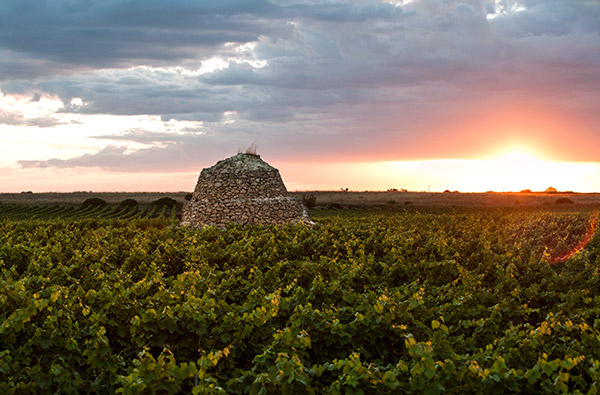 Địa hình Puglia ít đồi núi với những túp lều trulli