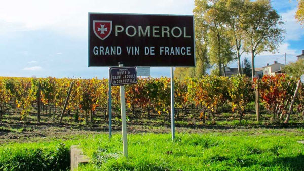 Giống nho Merlot được trồng tại Pomerol mang tới nhiều hương vị tuyệt vời