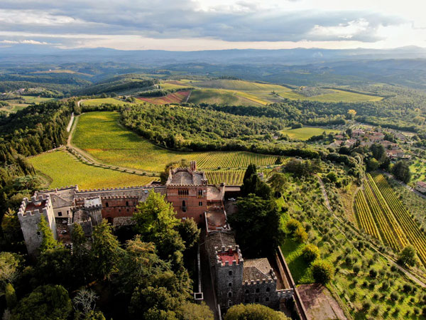 Giống nho Merlot tại Tuscany thường thấy trong hỗn hợp của Super Tuscan