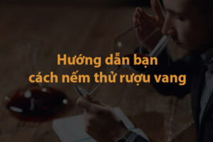 Hướng dẫn bạn cách nếm thử rượu vang