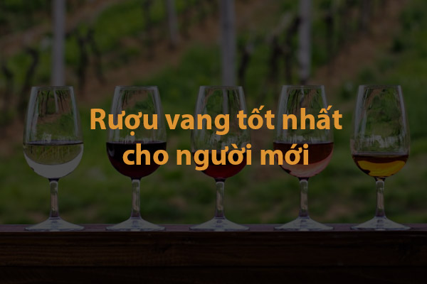 Rượu vang cho người mới bắt đầu tốt nhất
