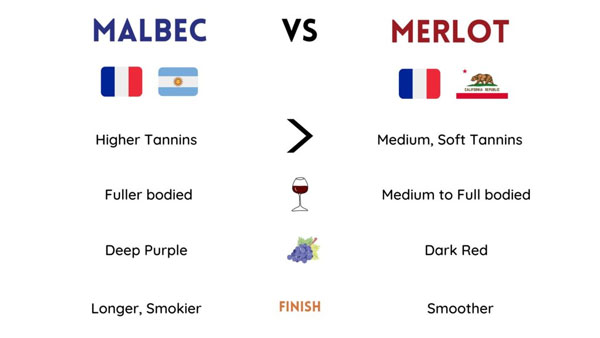 So sánh Merlot và Malbec