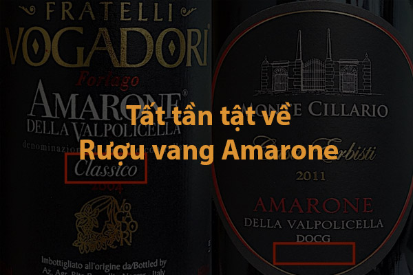 Tất tần tật về rượu vang Amarone
