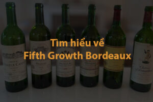 Tìm hiểu về Fifth Growth Bordeaux