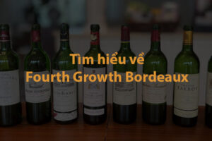 Tìm hiểu về Fourth Growth Bordeaux