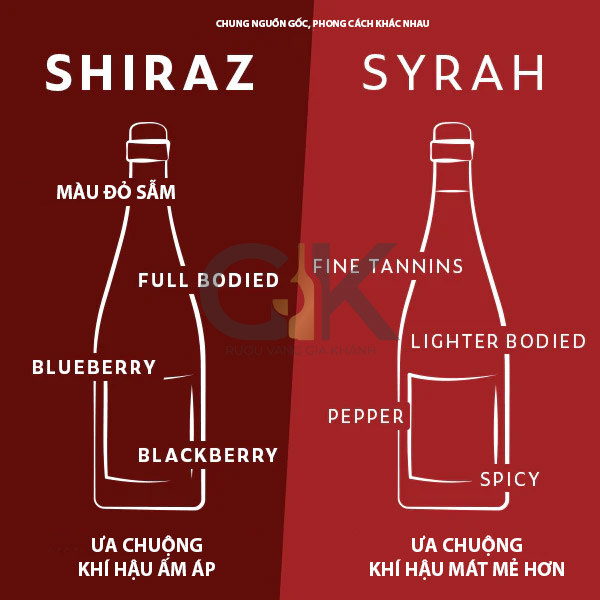 Sự khác biệt giữa Syrah và Shiraz