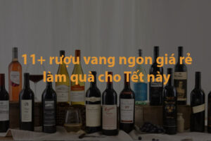 Các loại rượu vang giá rẻ ngon cho dịp tết