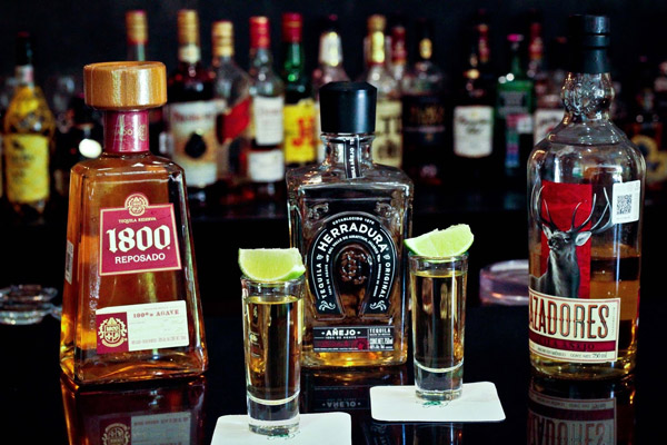 Tequila đang có tốc độ tăng trưởng nhanh vượt bậc trong vài năm gần đây